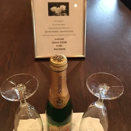 Haus Rhaetikon Mayer ダヴォス・プラッツ